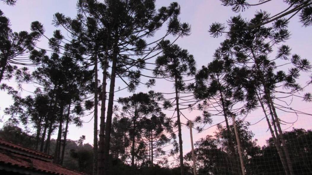 Chacara Capucho & Macedo Villa Cunha Dış mekan fotoğraf